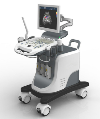 Full Digital Trolley 4D Echo Ultrasound Machine With LED Screen