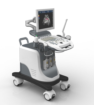 Full Digital Trolley 4D Echo Ultrasound Machine For Gynecology