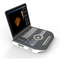 Medical 4D Color Doppler Ultrasound Equipment Digital Portable Ultrasonography