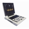 3D 4D Echography Portable USG Machine For Gynecology Eco