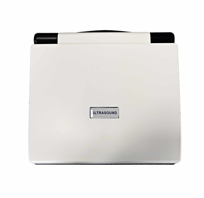 ISO Mobile Portable Ultrasound Scan Machine MSK GYN Measures