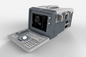 Durable Portable 2D Echo Machine Micro Convex Medical Ultrasound Machine