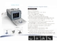 Animal Cattle Veterinary Ultrasound Machines 6.5MHz R13 Cavity Probe