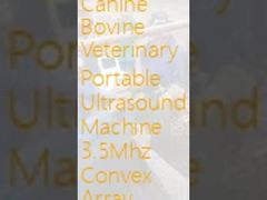 USB Canine Bovine Veterinary Portable Ultrasound Machine 3.5Mhz Convex Array Probe