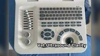 Vet Ultrasound Machine Canine Bovine Portable 3.5Mhz