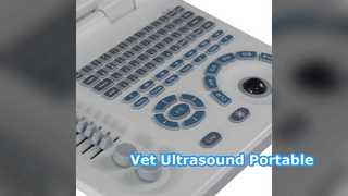 Portable Ultrasound for Vets
